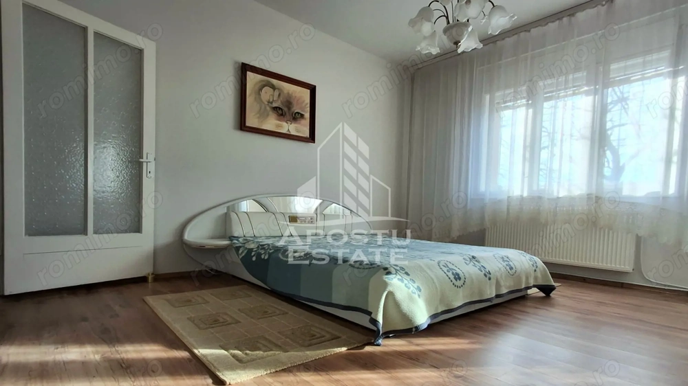 Casa Spatioasa cu Teren Generos in Vladimirescu