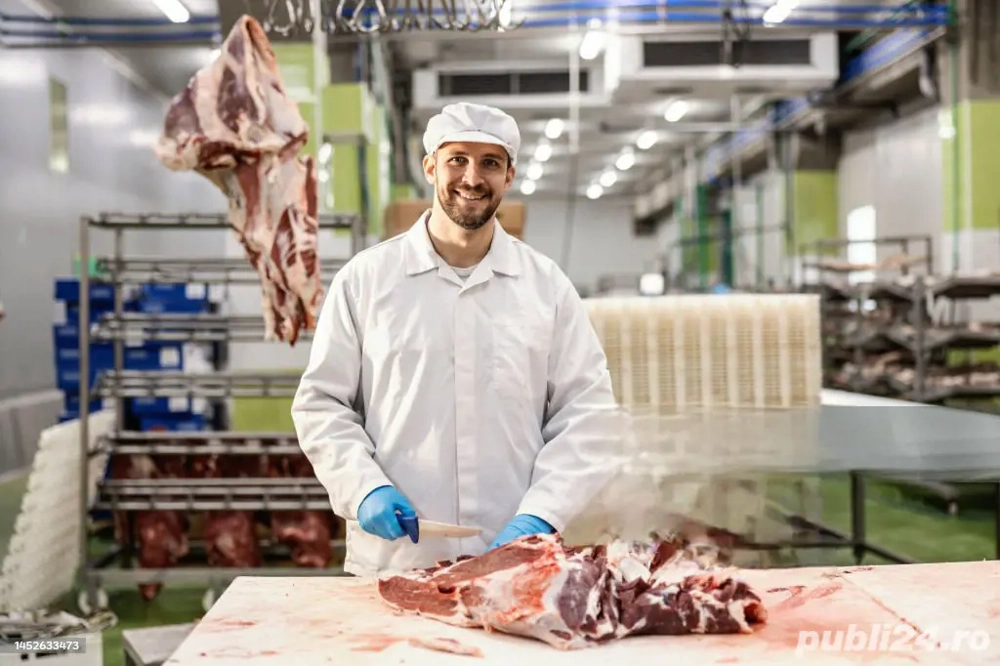 locuri de muncă la fabrica de carne în Germania 