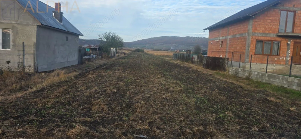 Teren intravilan de vanzare - Chintelnic, Jud. Bistrita-Nasaud