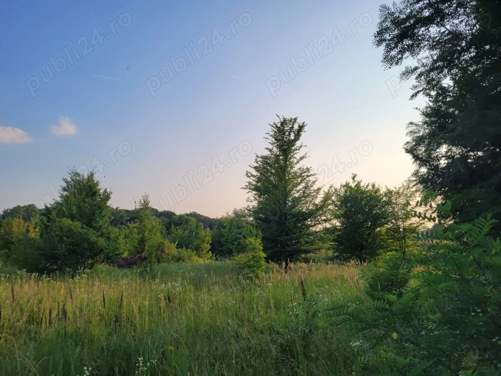 Teren 2500 mp lac Snagov