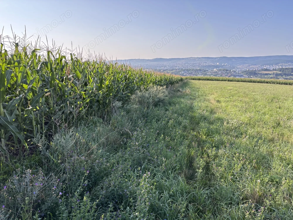 Arendez Inchiriez Preiau în arenda teren Zona Cluj