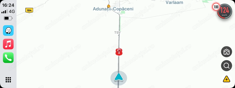 Vând porci rasa de carne 