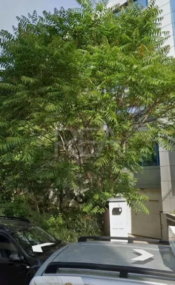 Teren intravilan de vânzare – Grozăvești | 211 mp 