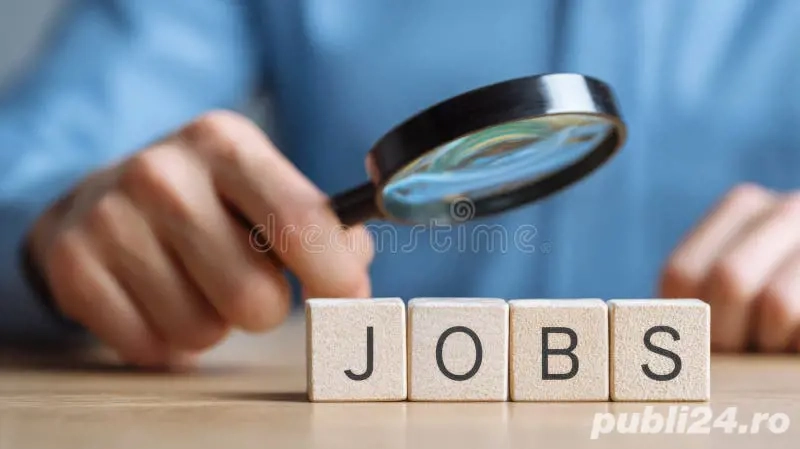 Barbat matur ,experienta,solicit angajare