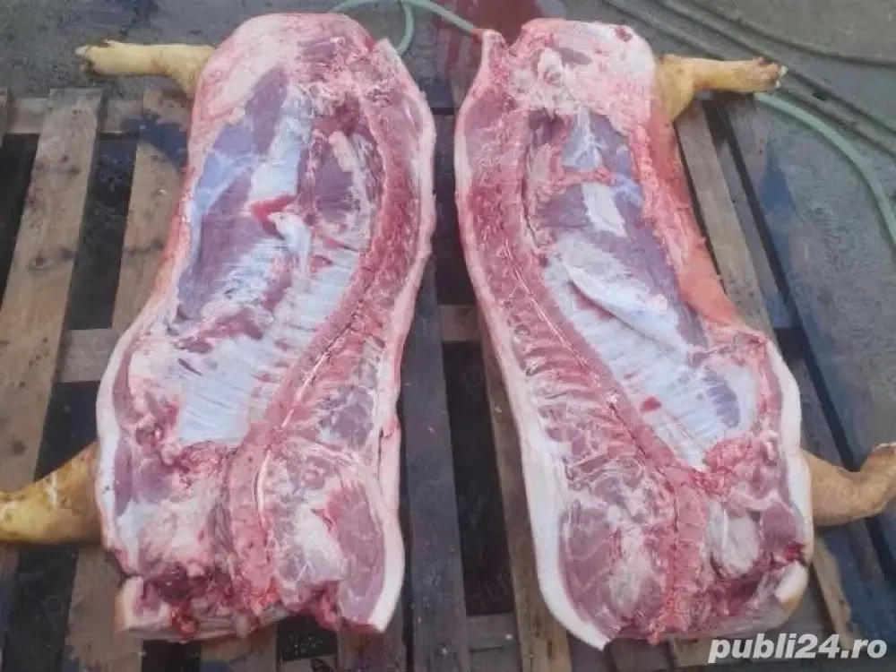 Carcasa de porc de vanzare