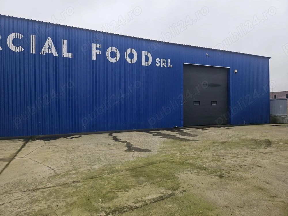 Hala 800 mp de inchiriat