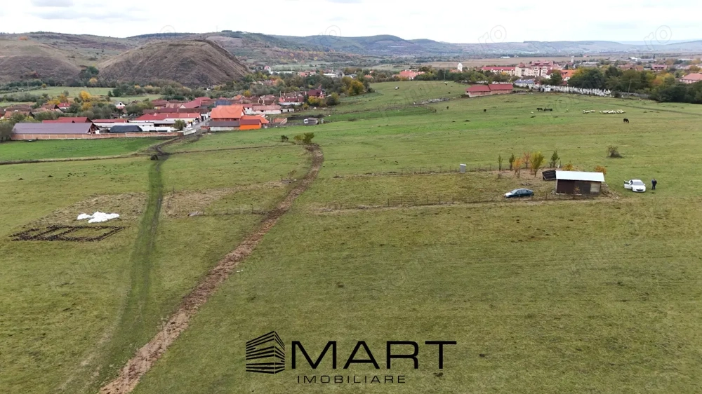 Teren  extravilan 2200 mp in Orlat