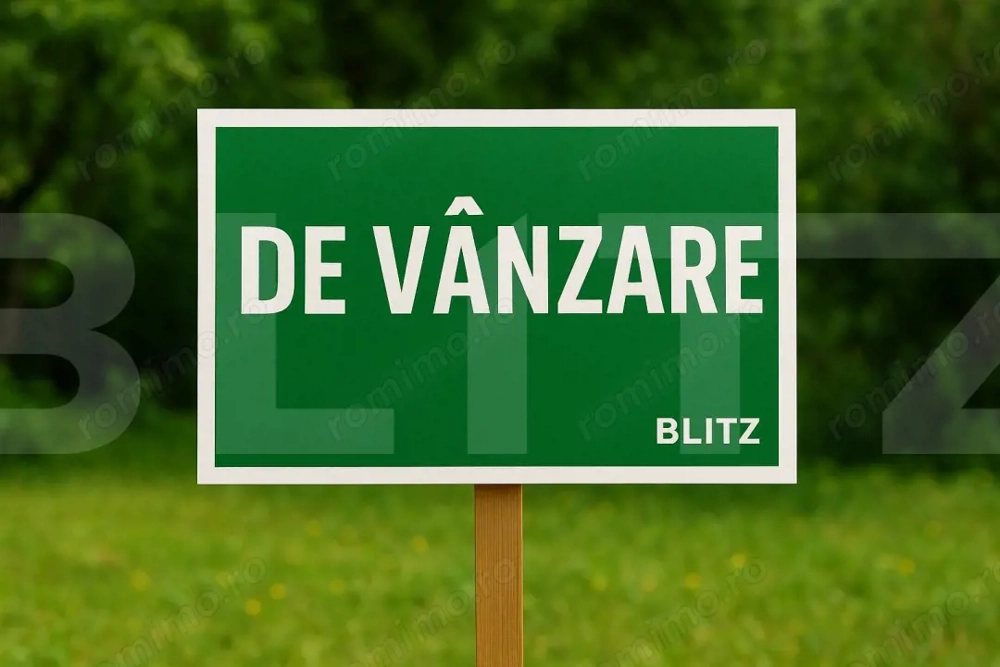 Casa Batraneasca Rachiti Strada Principala