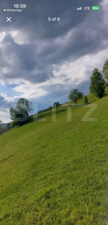 Teren intravilan de vânzare, 2500 mp, comuna Vidra