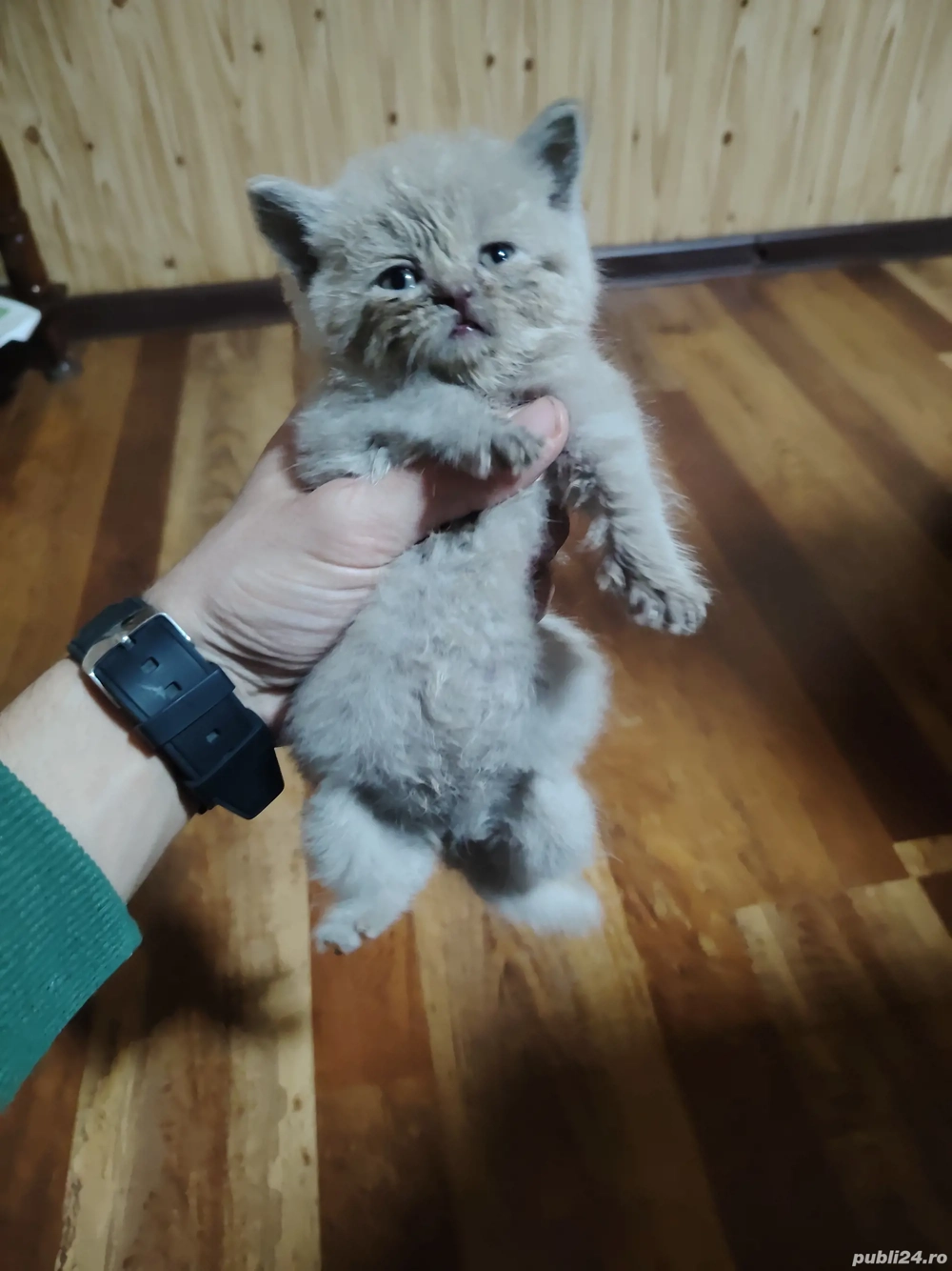 Cadoul perfect pentru Craciun 