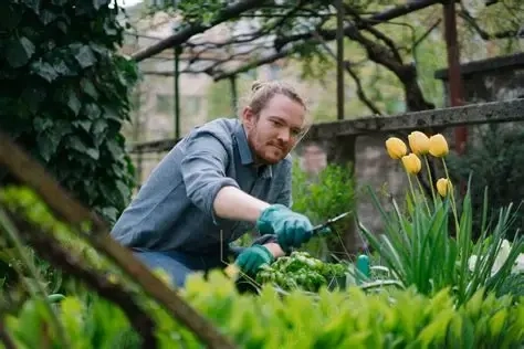 Angajam Grădinar   Îngrijitor spații exterioare