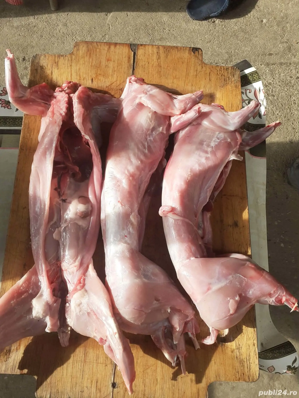 Vând iepuri vii și carcasă 