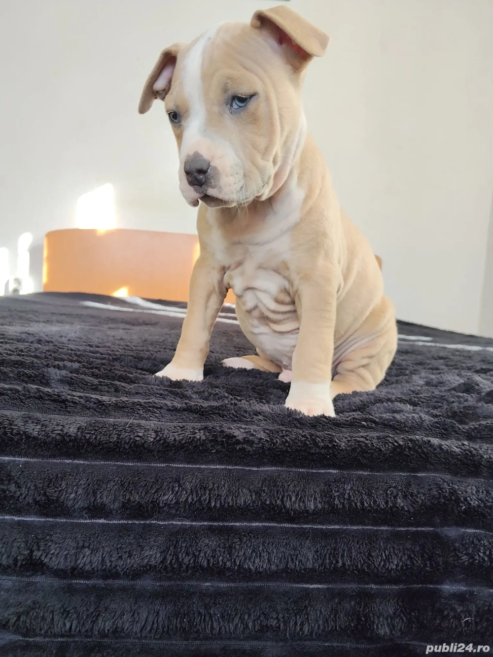 Cadoul perfect pentu copii