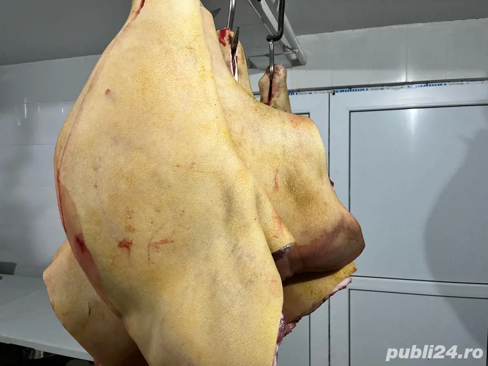 vand carcasa porc 