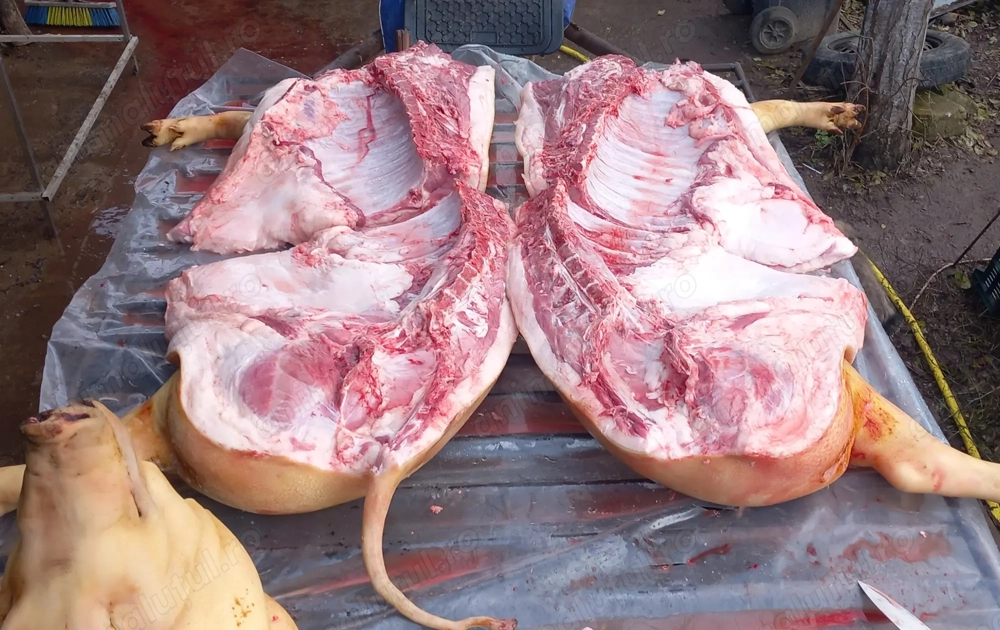 Porci -carcasa 20 lei  kg 