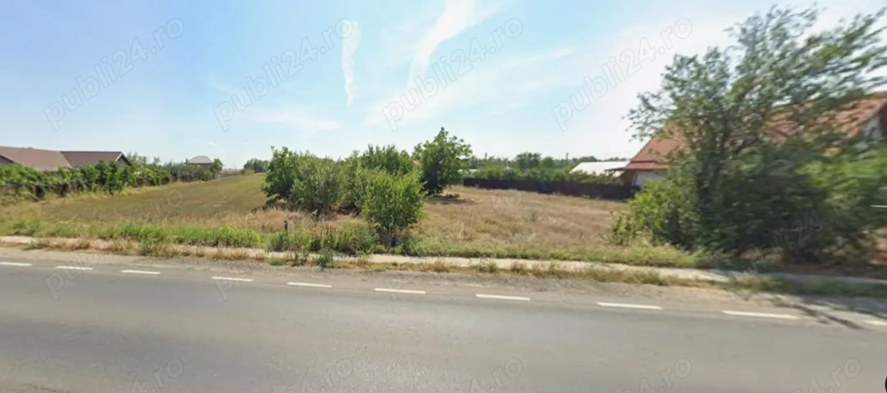 Teren intravilan 5000 mp Tamadau Mare   deschidere 35 metri la DN3