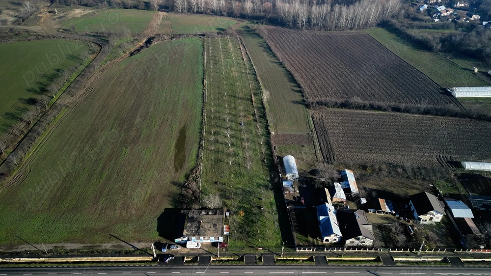 Vanzare teren 9654 mp, deschidere 27m, comuna Dobra, sat Dobra