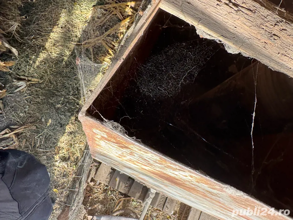 cazan de tuica 190 l 