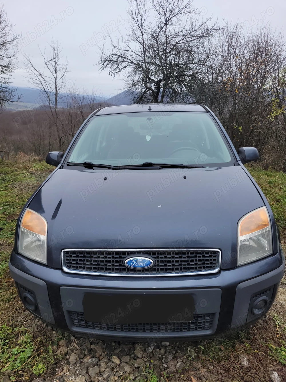 Ford Fusion 1,4 TDCI