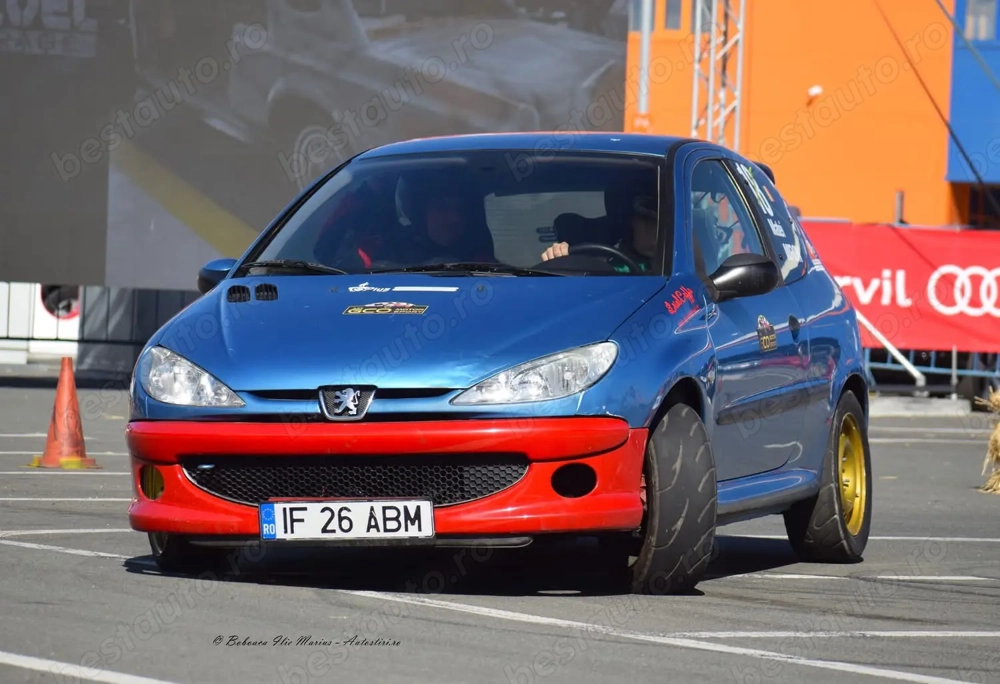 Peugeot 206 destinat competițiilor sportive