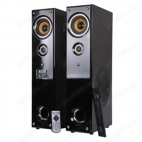 Sistem audio 2 turnuri FM SD USB Microfon Intex