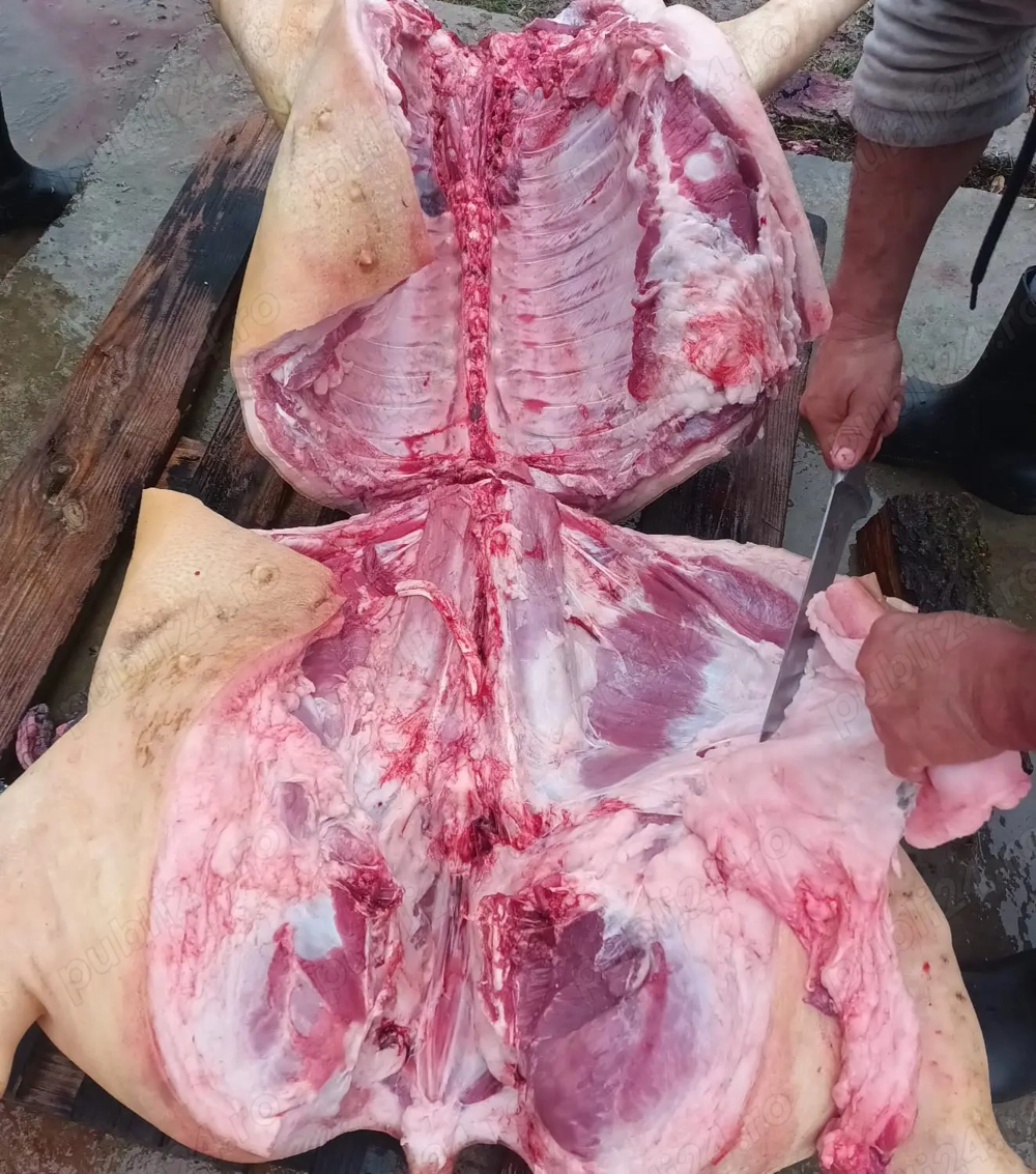 Porci de carne ,livrare în Constanța 