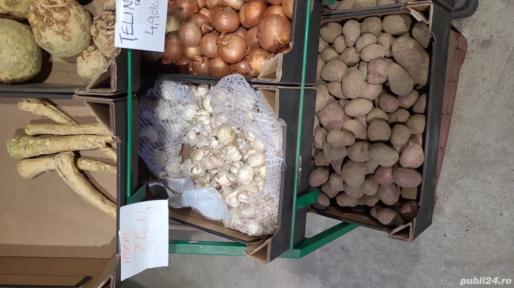 afacere la cheie profitabila 