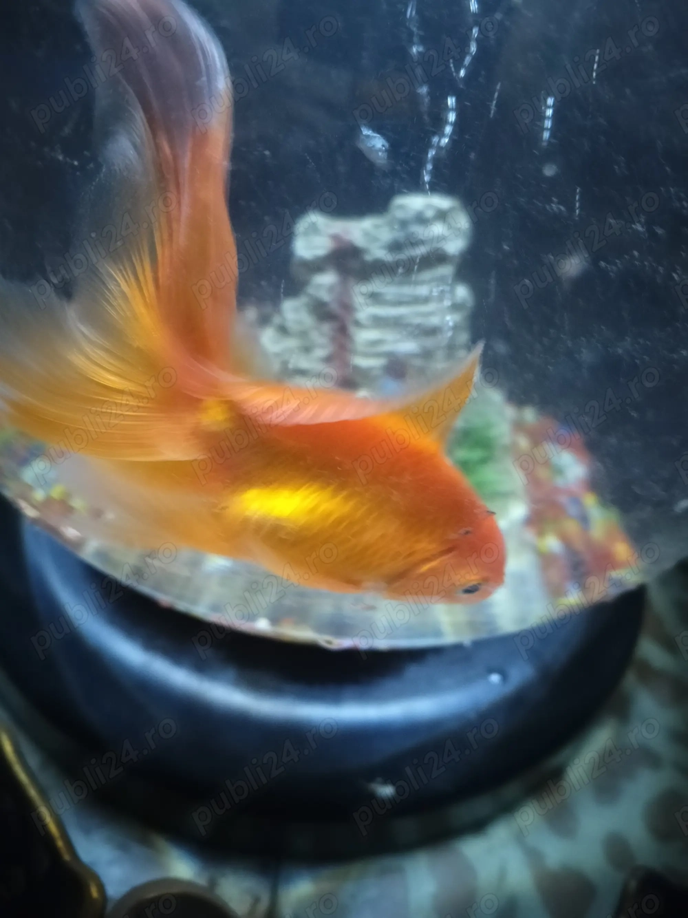 Vând bol cascadă led