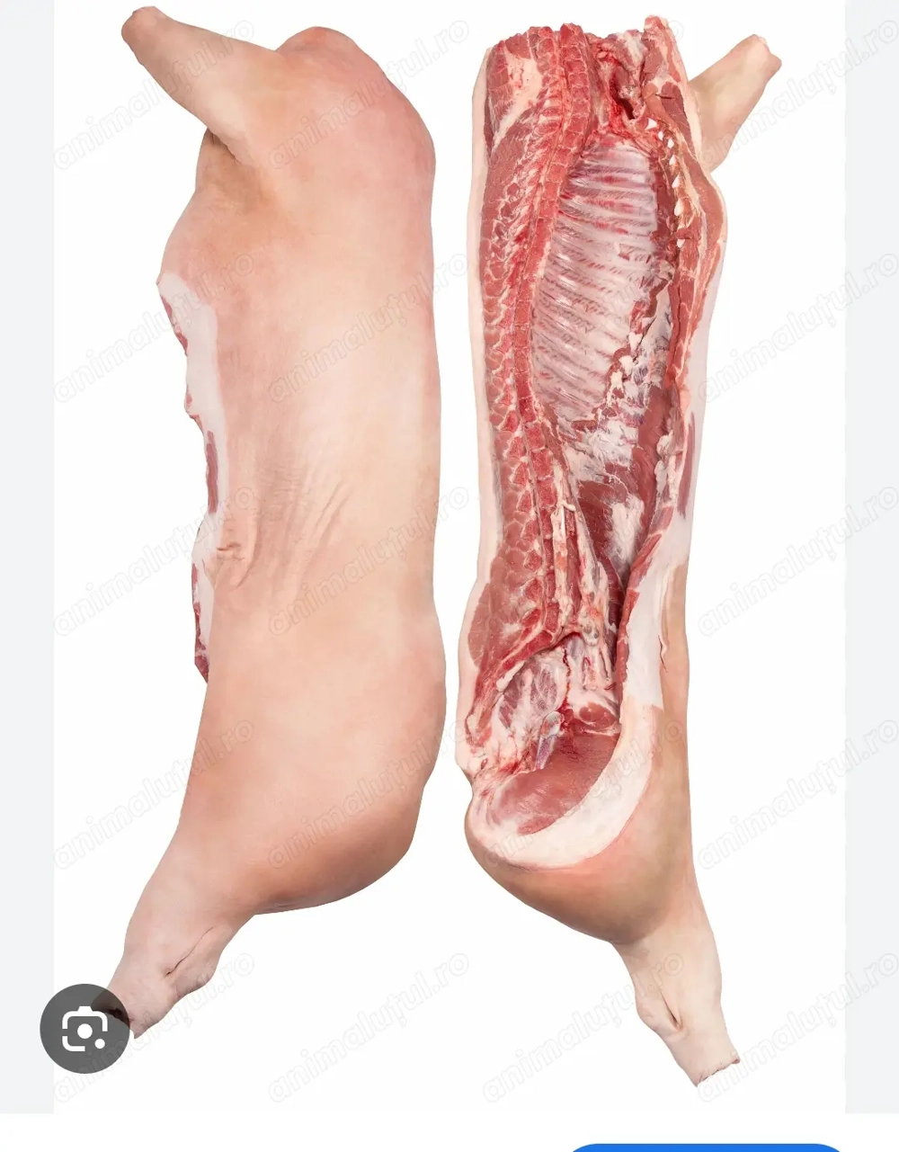 Carcasa porc de vânzare 