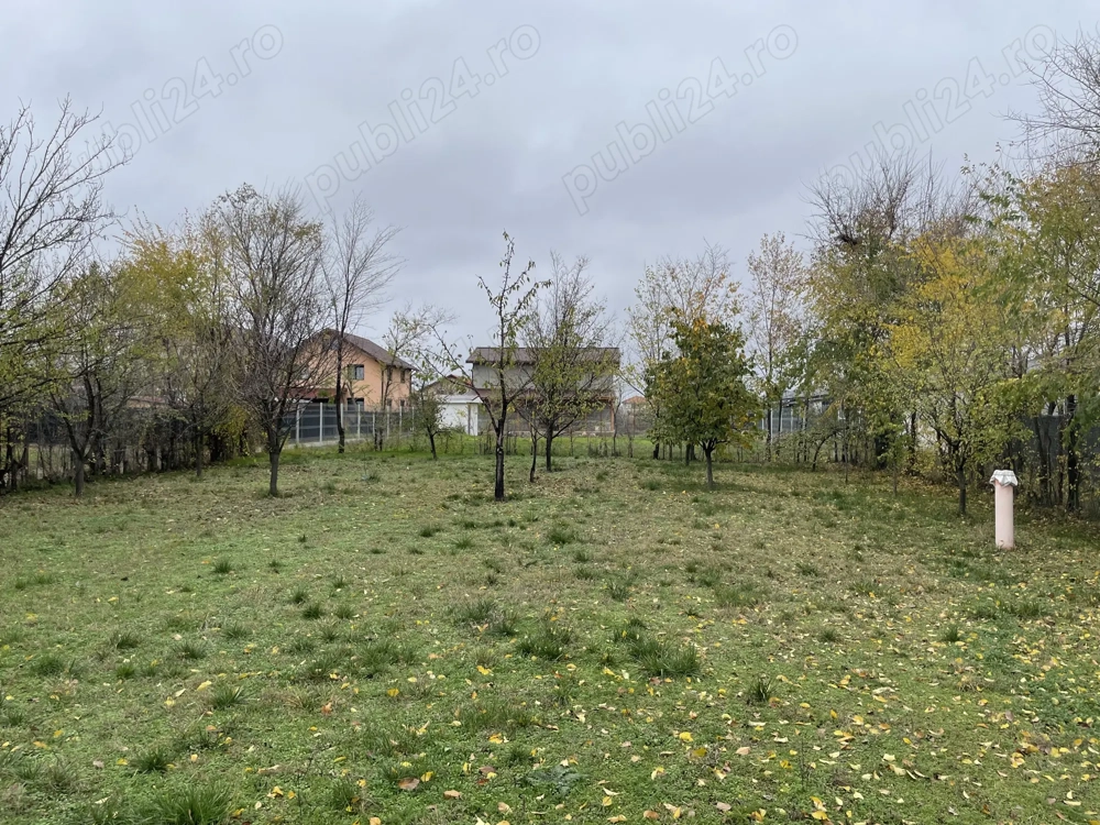 Domnești   teren 750mp, cu puț, pomi, gard viu, gard bordurat, porti