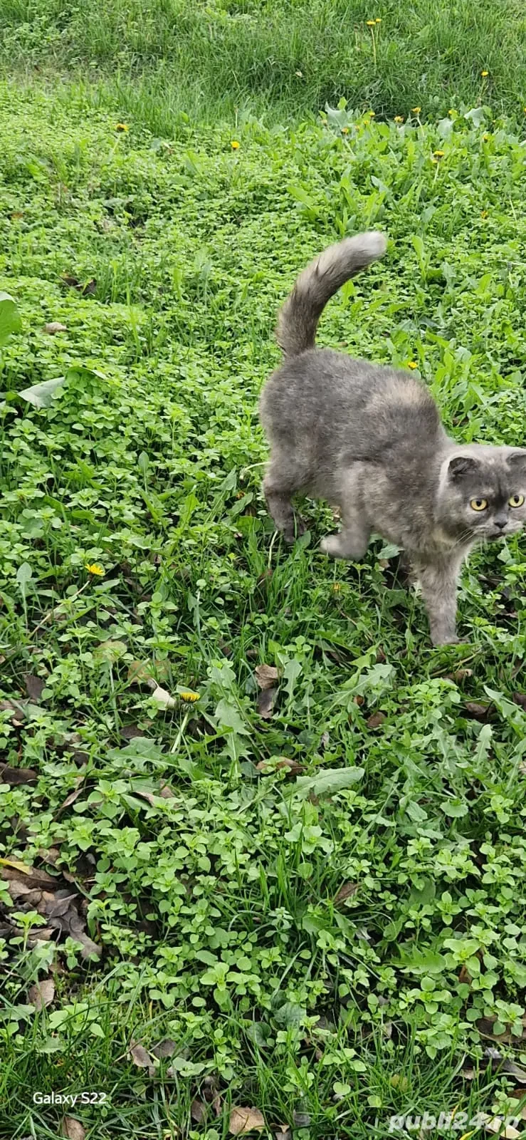 Oferta de sărbători!