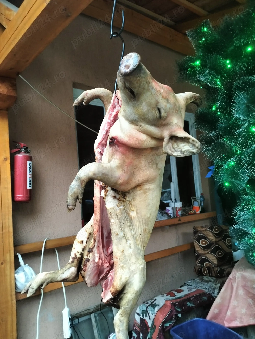 Purcel proțap cuptor