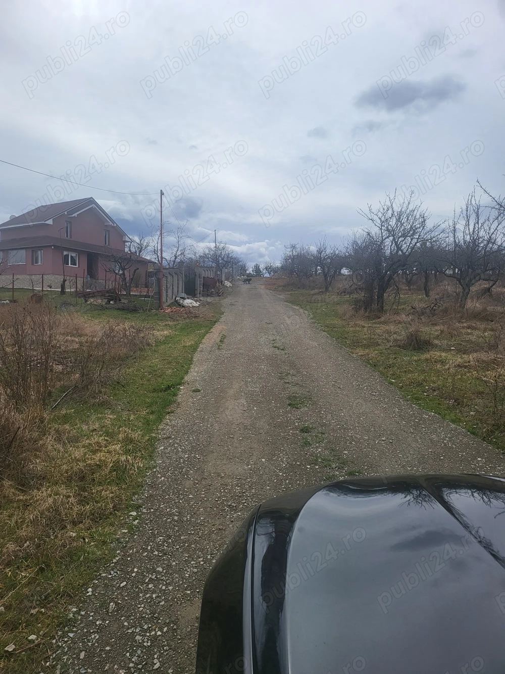 Vând teren intravilan livada SCPP Zalău, 3500 euro ar, zona cu case.