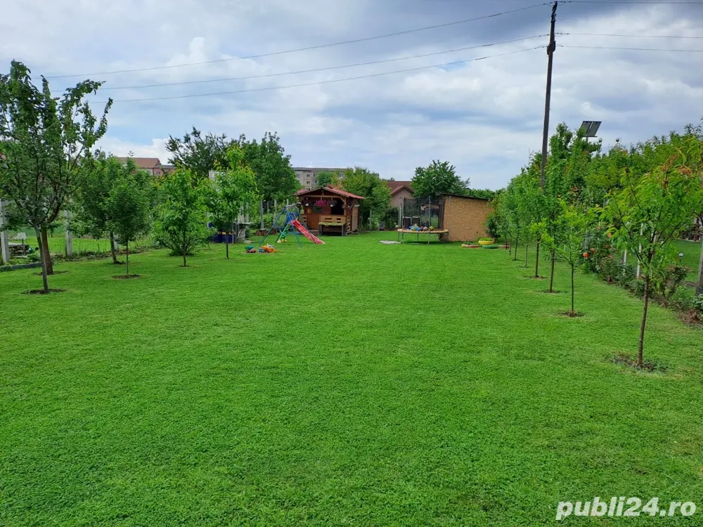 Persoana fizica exclus agentii