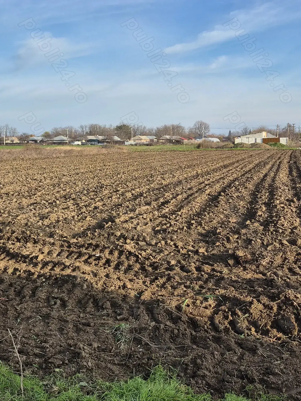 Teren de vânzare Braila Chiscani