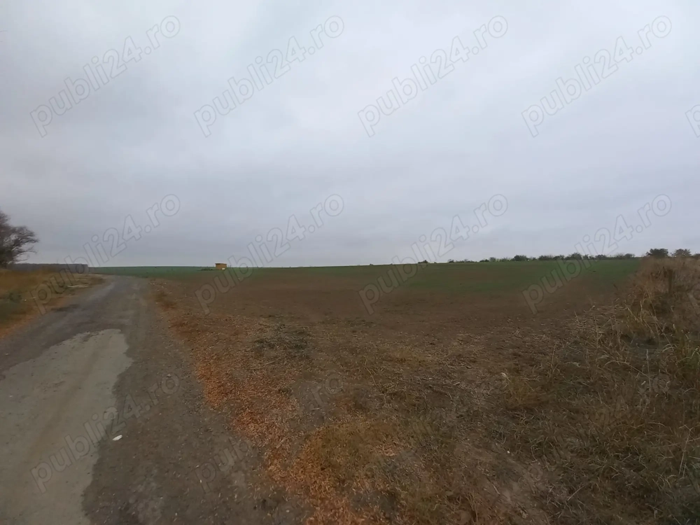 Teren de vanzare in Valu Lui Traian, Cartierul Nou - 403 mp