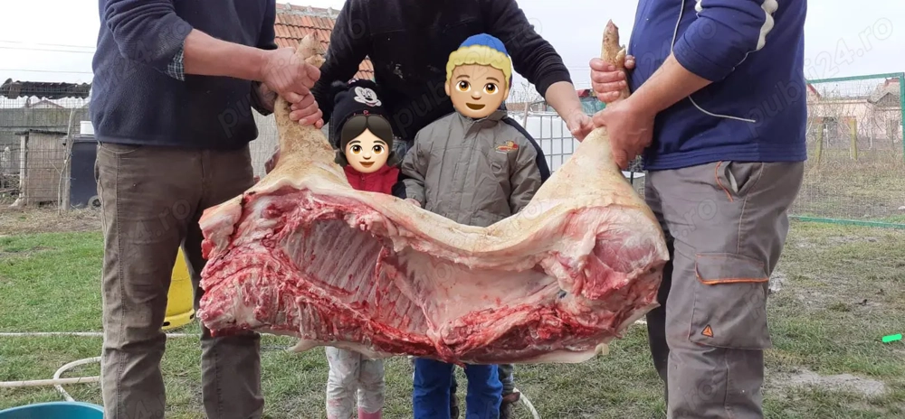 Carcasa porc sau jumătate 