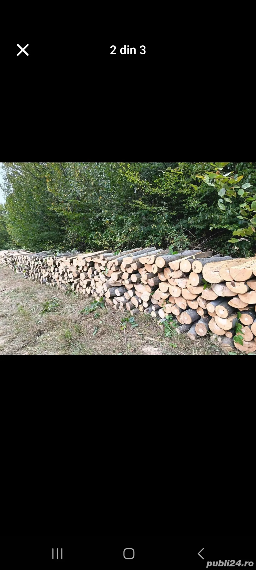 lemne de fag (esența tare) pentru foc