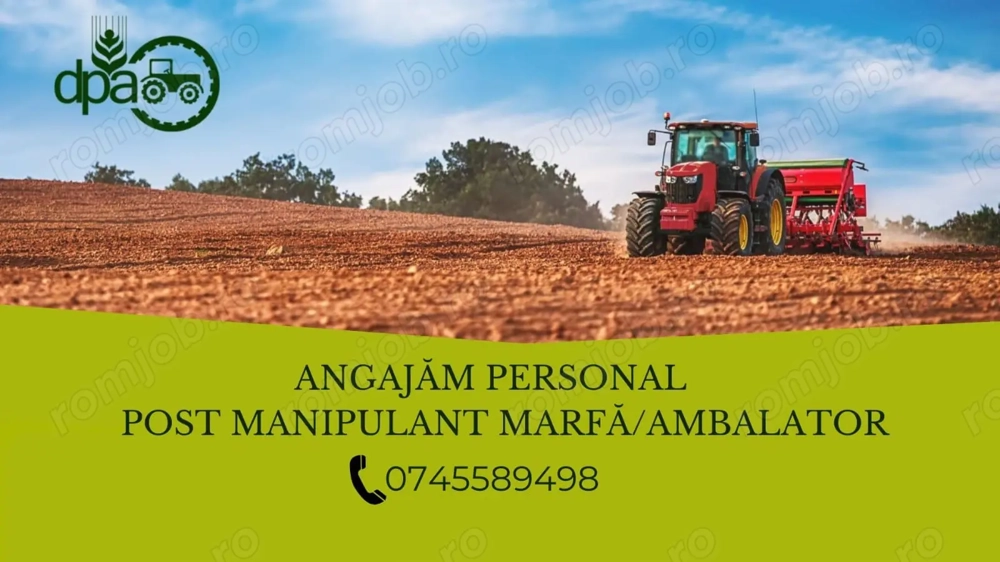 angajam manipulant marfa