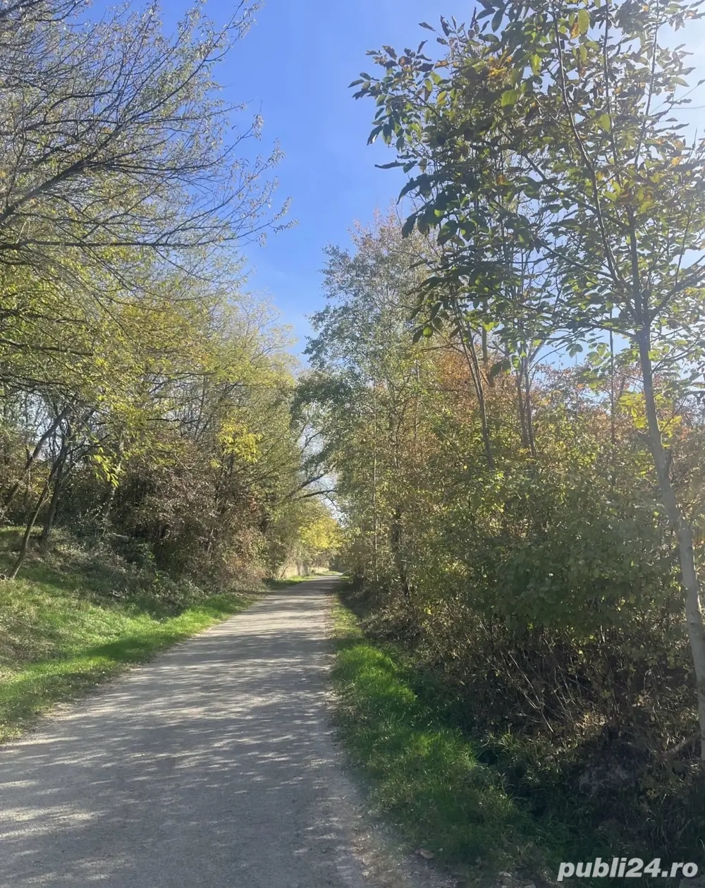 Vând teren intravilan |Potoc 