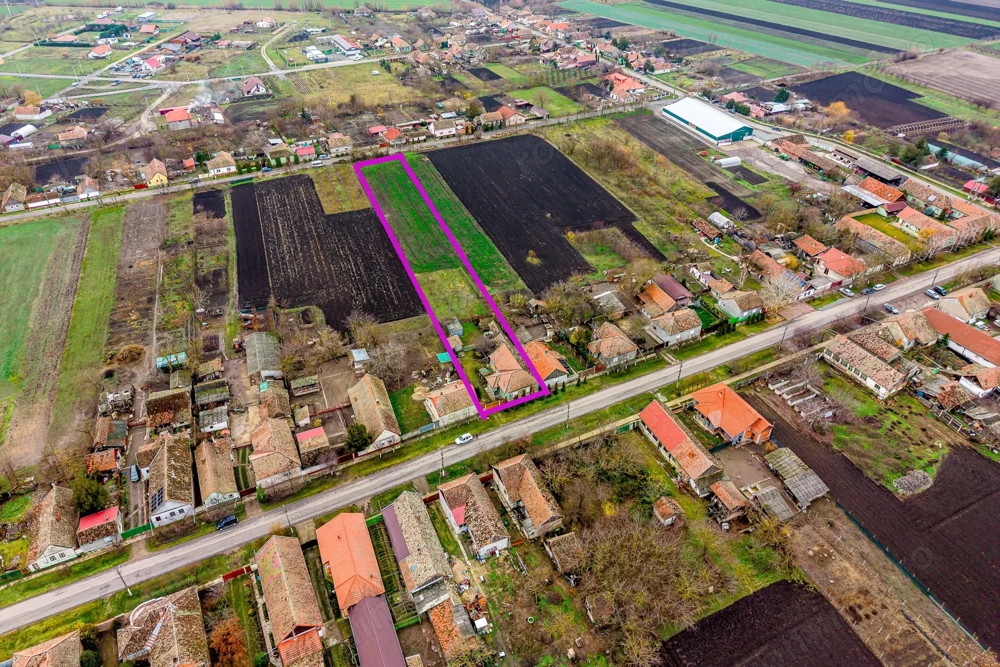 Un domeniu rural, definit prin spațiu și libertate în Dorobanți