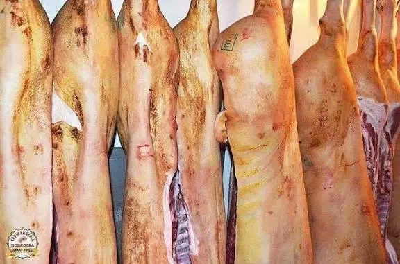 Vând porci carcasa