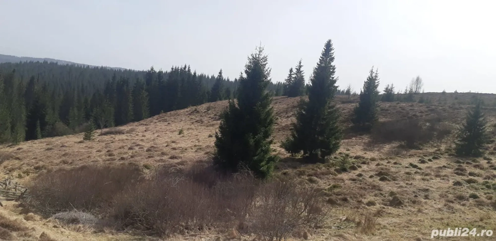 Teren 9.000 mp în Bălcești, Beliș- aproape de lac, ideal pentru cabane