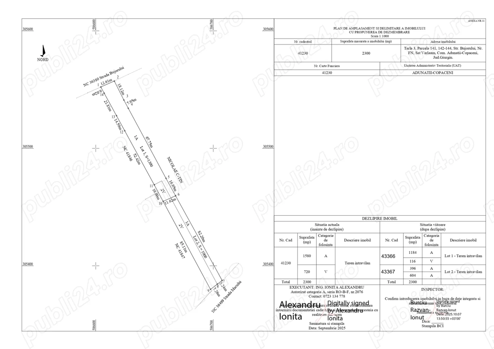 Teren 1000 mp Adunatii Copaceni Sat. Varlaam