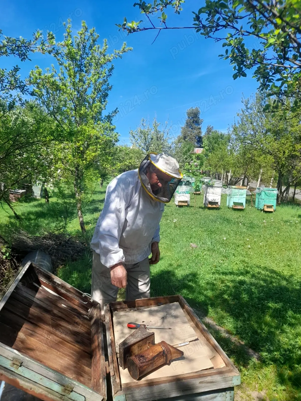 teren de inchiria , Scoarta GJ