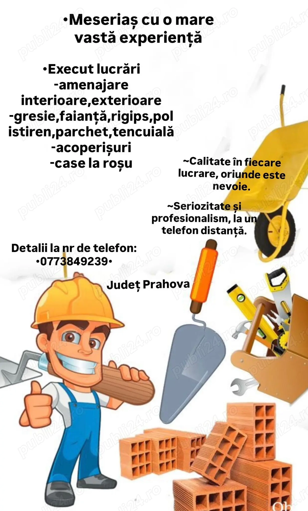Amenajări case vile  apartamente 