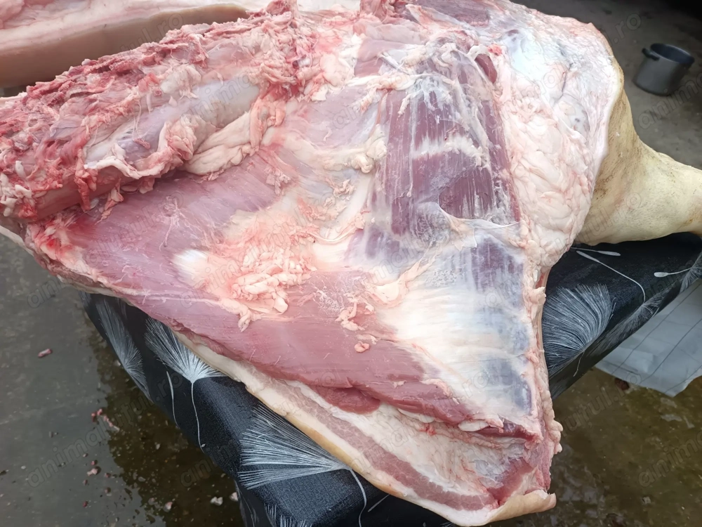 Vând porci de carne pietrain viu s-au jumătate s-au sferturi 