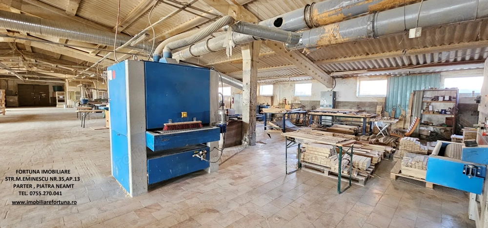 Complex imobiliar format din cladiri si constructii industriale 18625 mp + teren intravilan 50718 mp