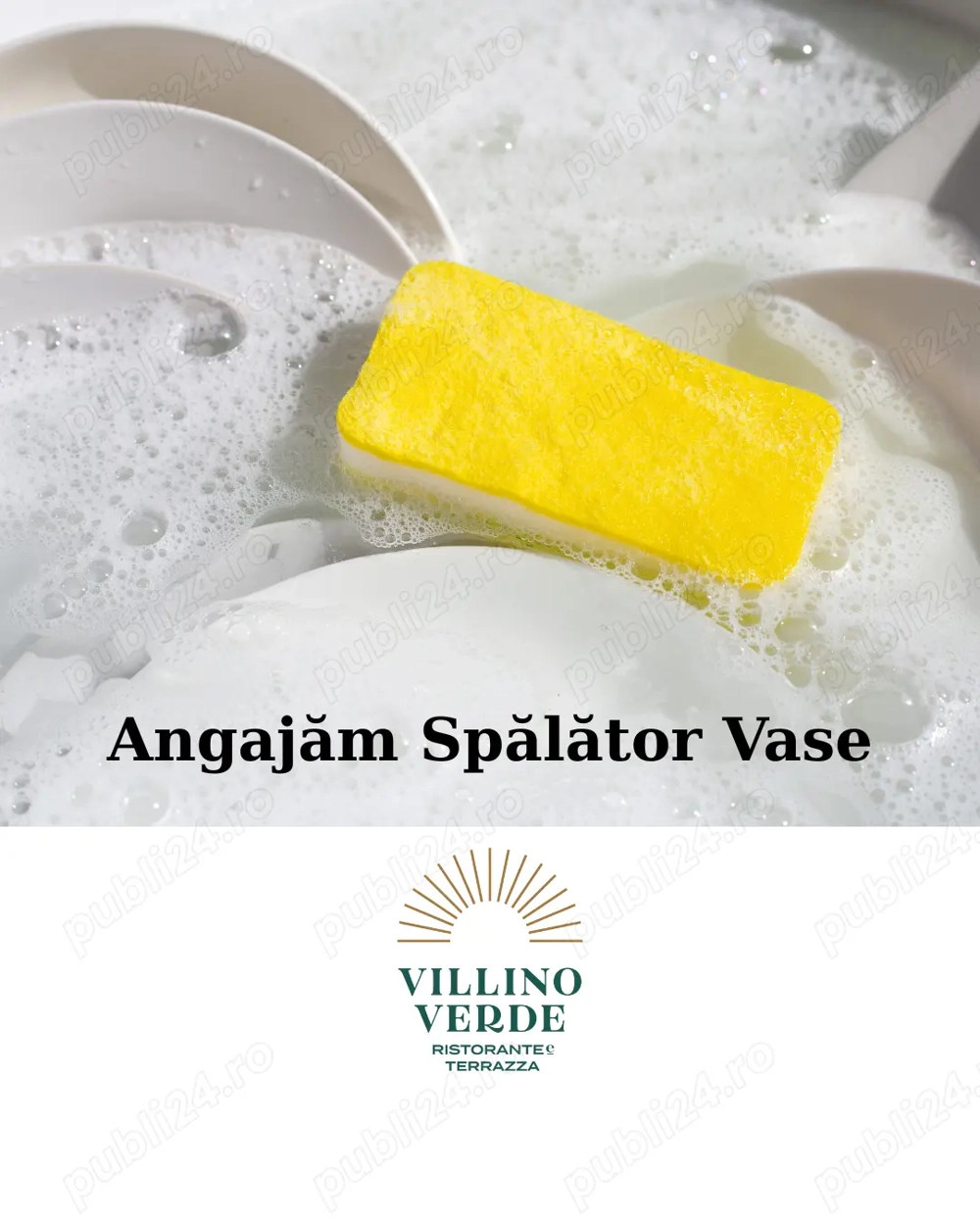 Spălător Vase la Restaurant Villino Verde