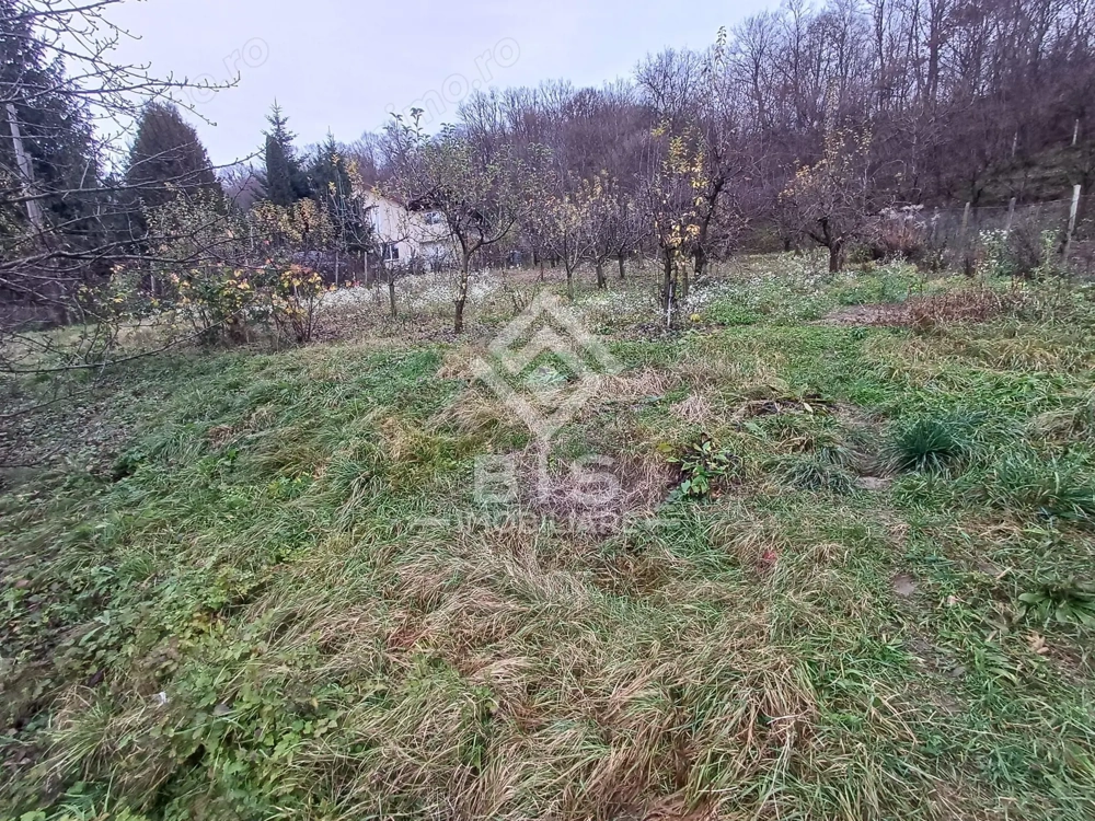 Teren intravilan 1300mp, Zona Valea Ghinzii